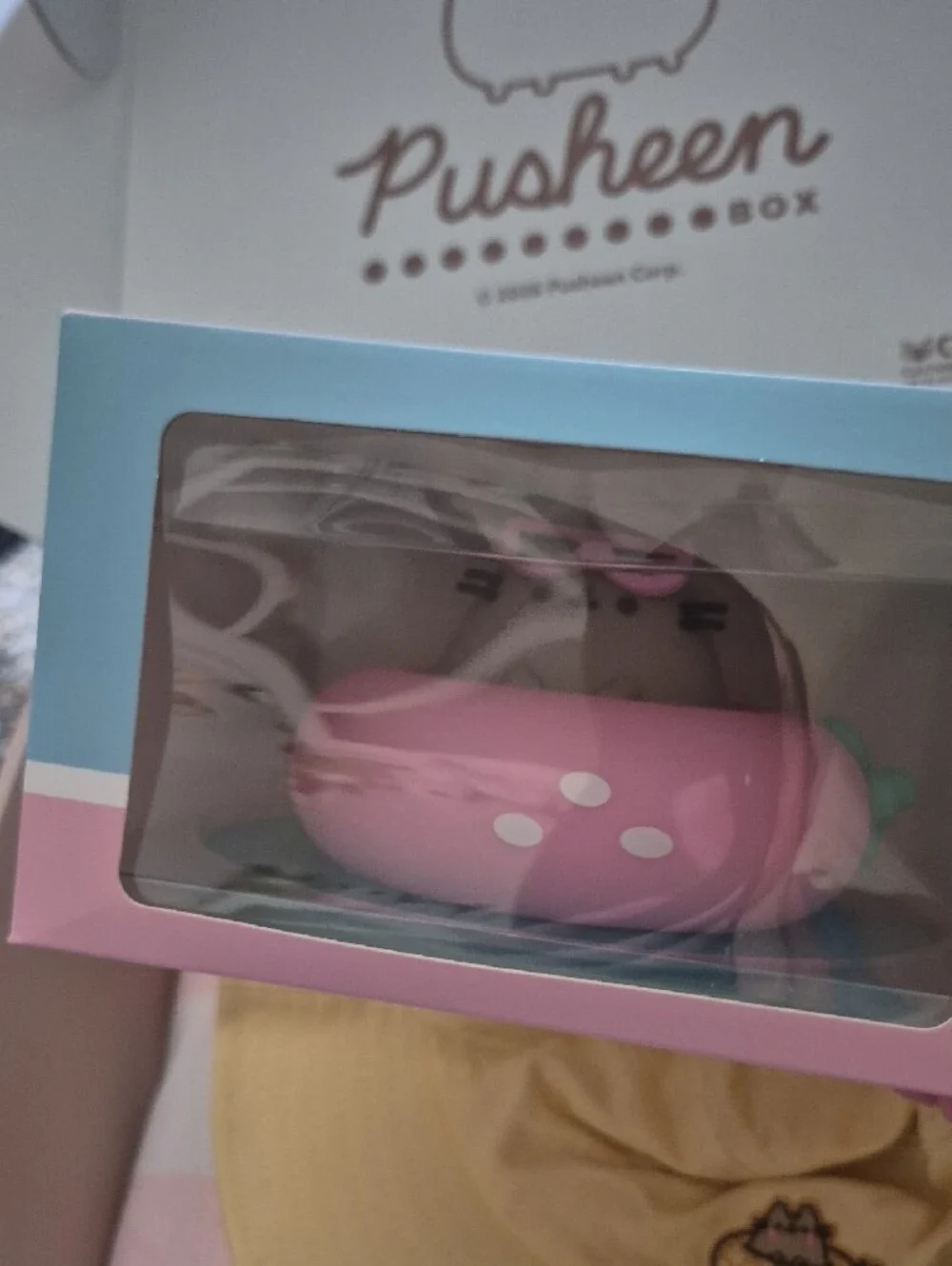 Pusheen 2026 summer